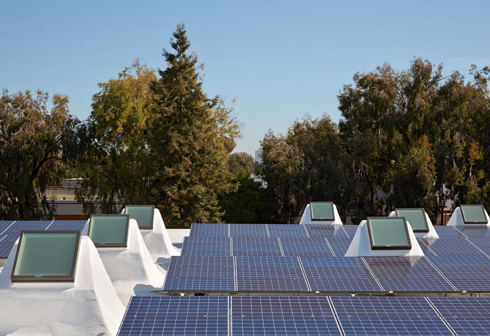 The roof at 435 Indio. Skylights and solar against the trees.